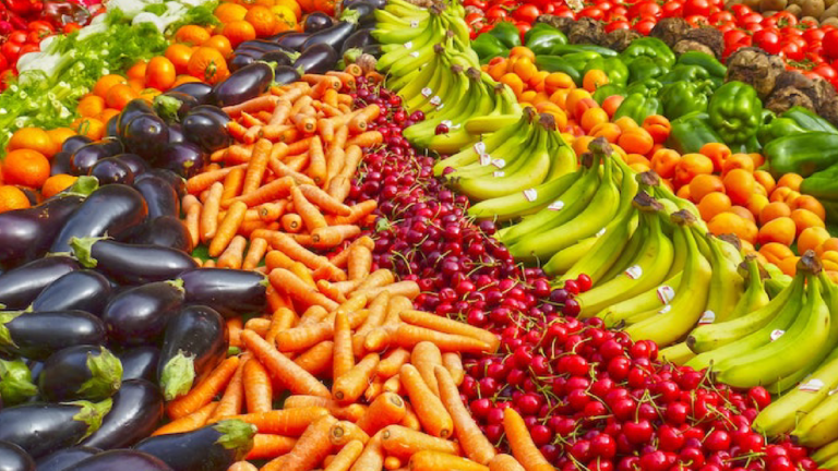 Fruits Export