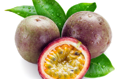 Fruits Exporters in Kenya