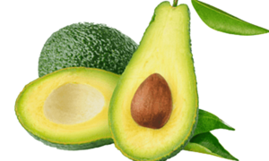 Best Avocado Exporters in Kenya