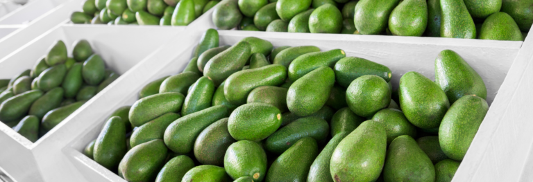 best avocado exporters in Kenya