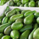 best avocado exporters in Kenya