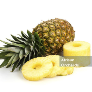 Biggest Exporter of Pineapples
