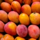 Kenya Mangoes