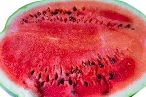 Watermelon Exporter in Kenya