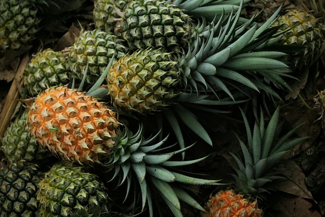 Facts About Pineapple