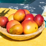 Mango Fruit