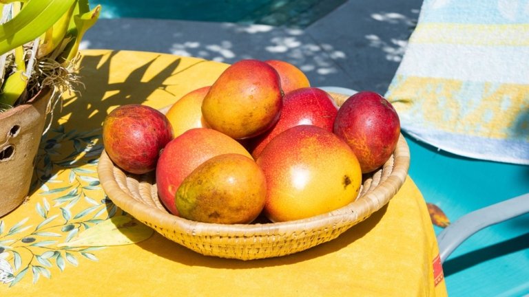 Mango Fruit