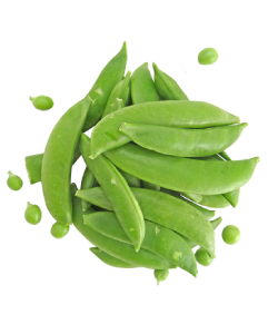 Follow a manual added link Snow_Mangetout Peas