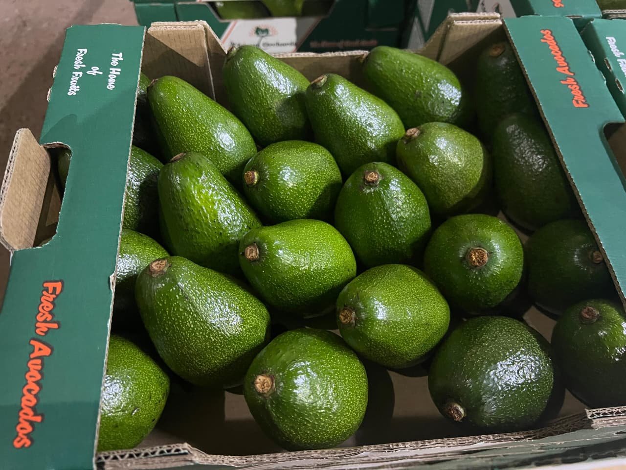 Afrisun Orchards gallery image 2