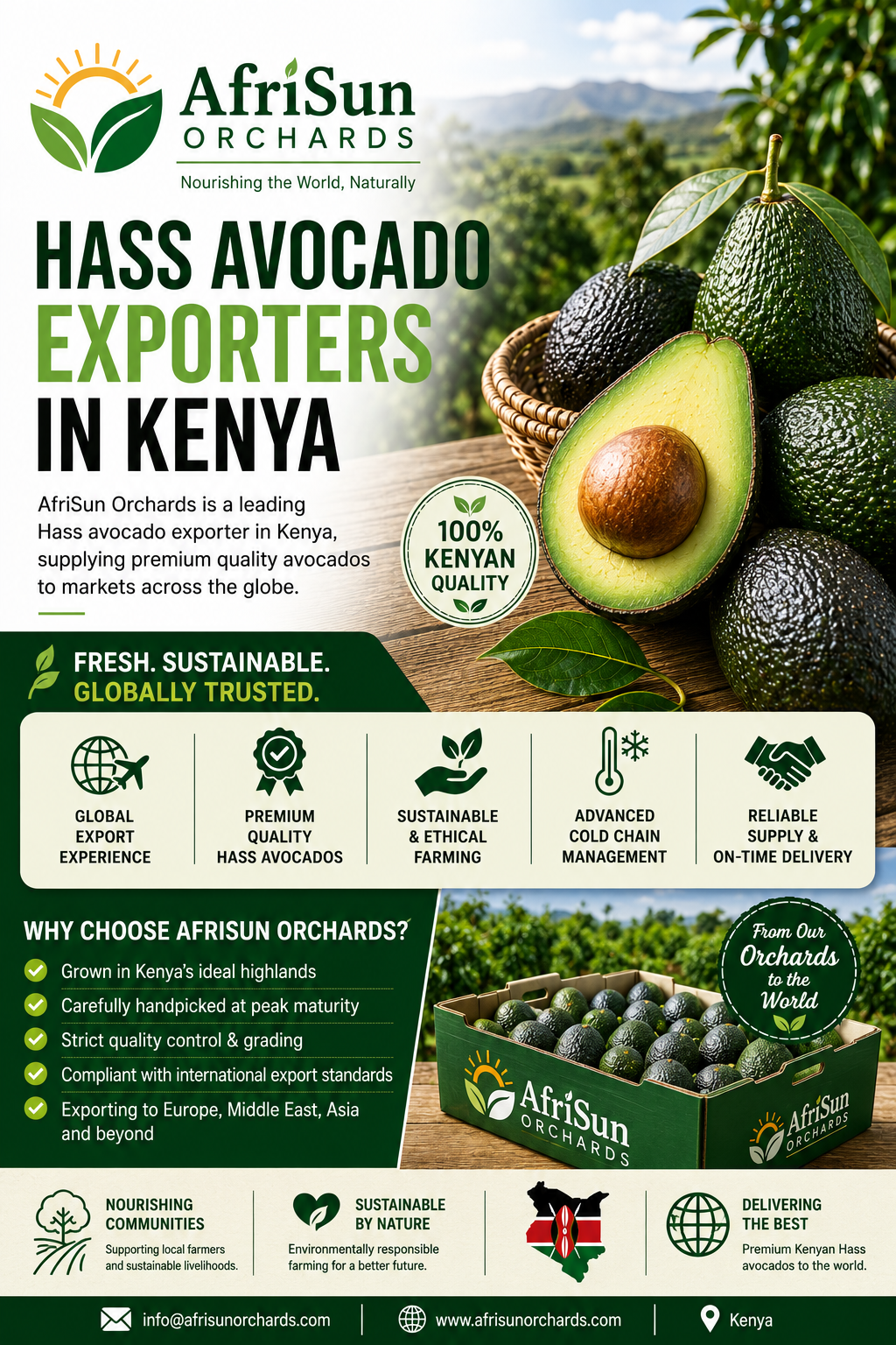 Hass Avocado Exporters in Kenya