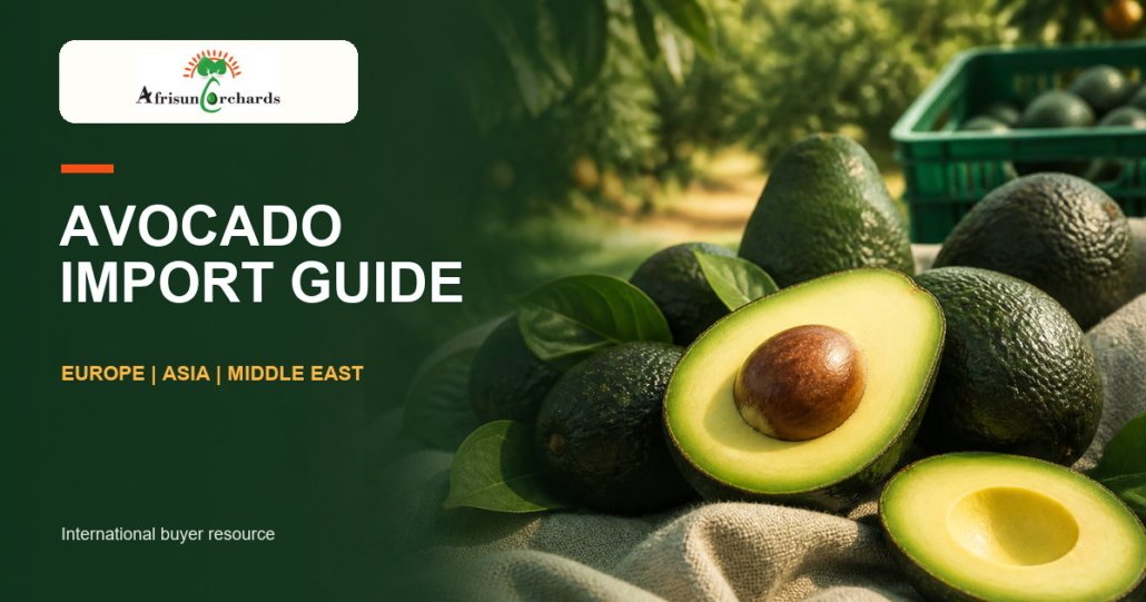 Avocado import guide for Europe, Asia and the Middle East - Afrisun Orchards