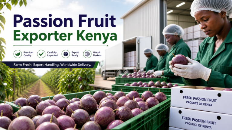 Kenyan passion fruits being inspected and packed for export buyers